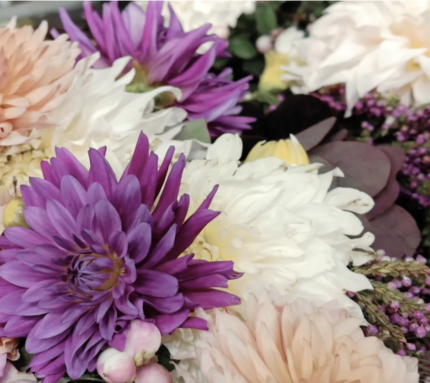 Screenshot 2025 11 08 alle 09.11.32